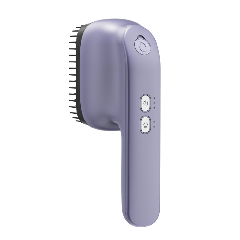 Electric Essential Oil Massage - Hair Care Essential Oil Atomizing recension och pris